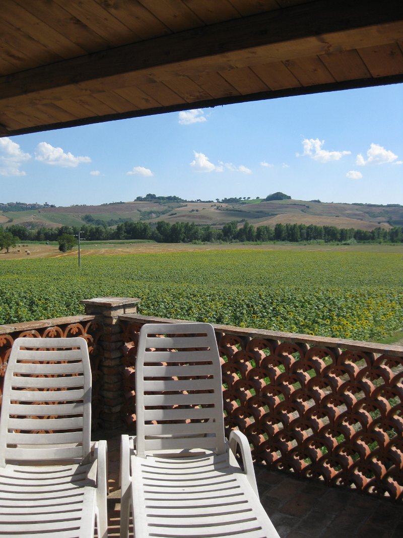 Vigneti